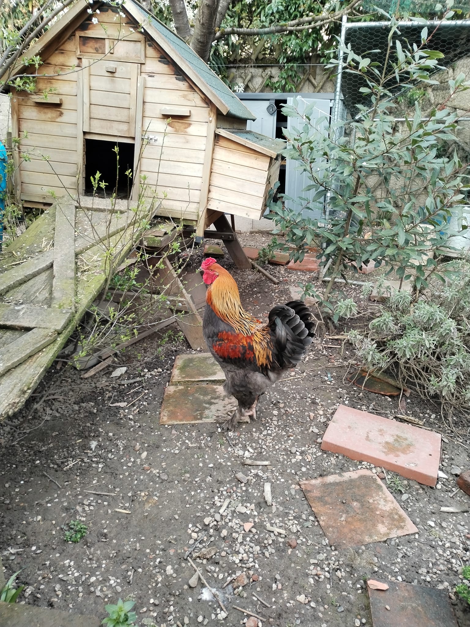 Photos de Les rencontres.