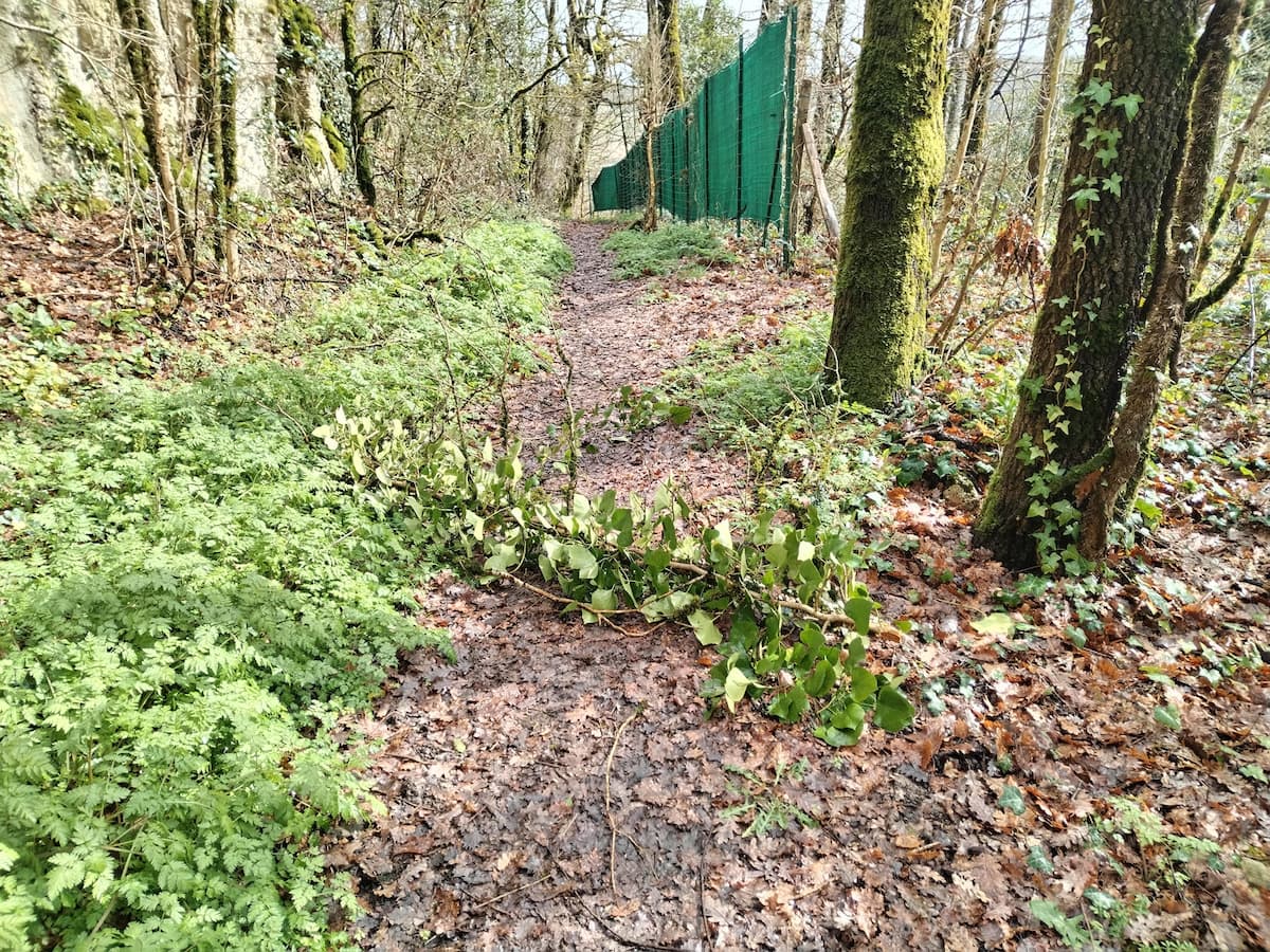 Photos de L'eau c'est la vie.... Ça tombe bien !