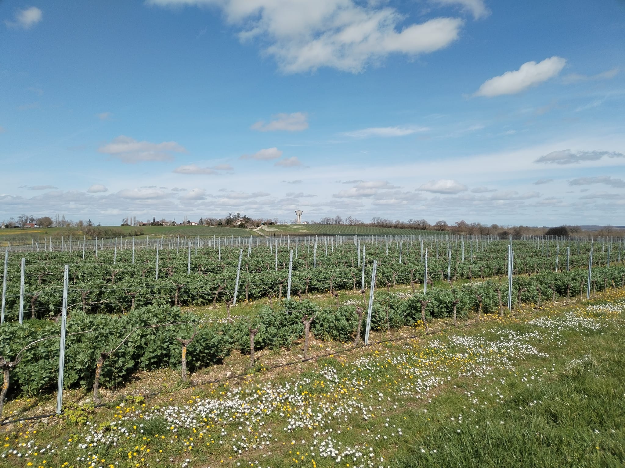 Photos de La fameuse terre amoureuse du Gers 