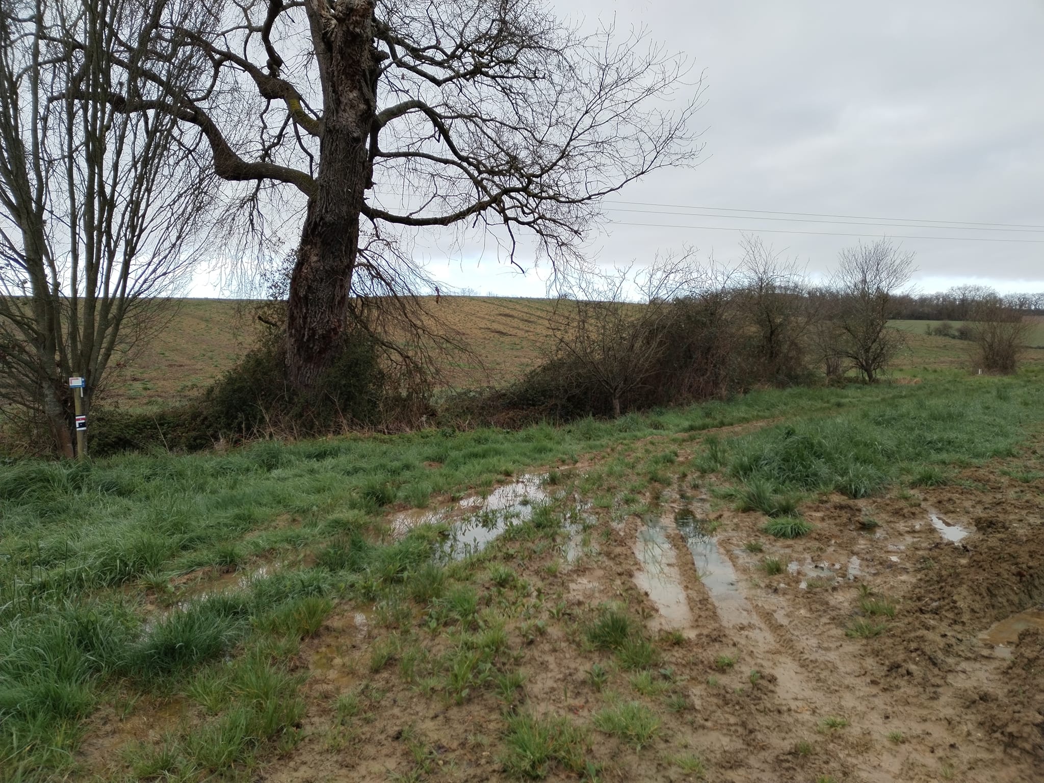 Photos de La fameuse terre amoureuse du Gers 