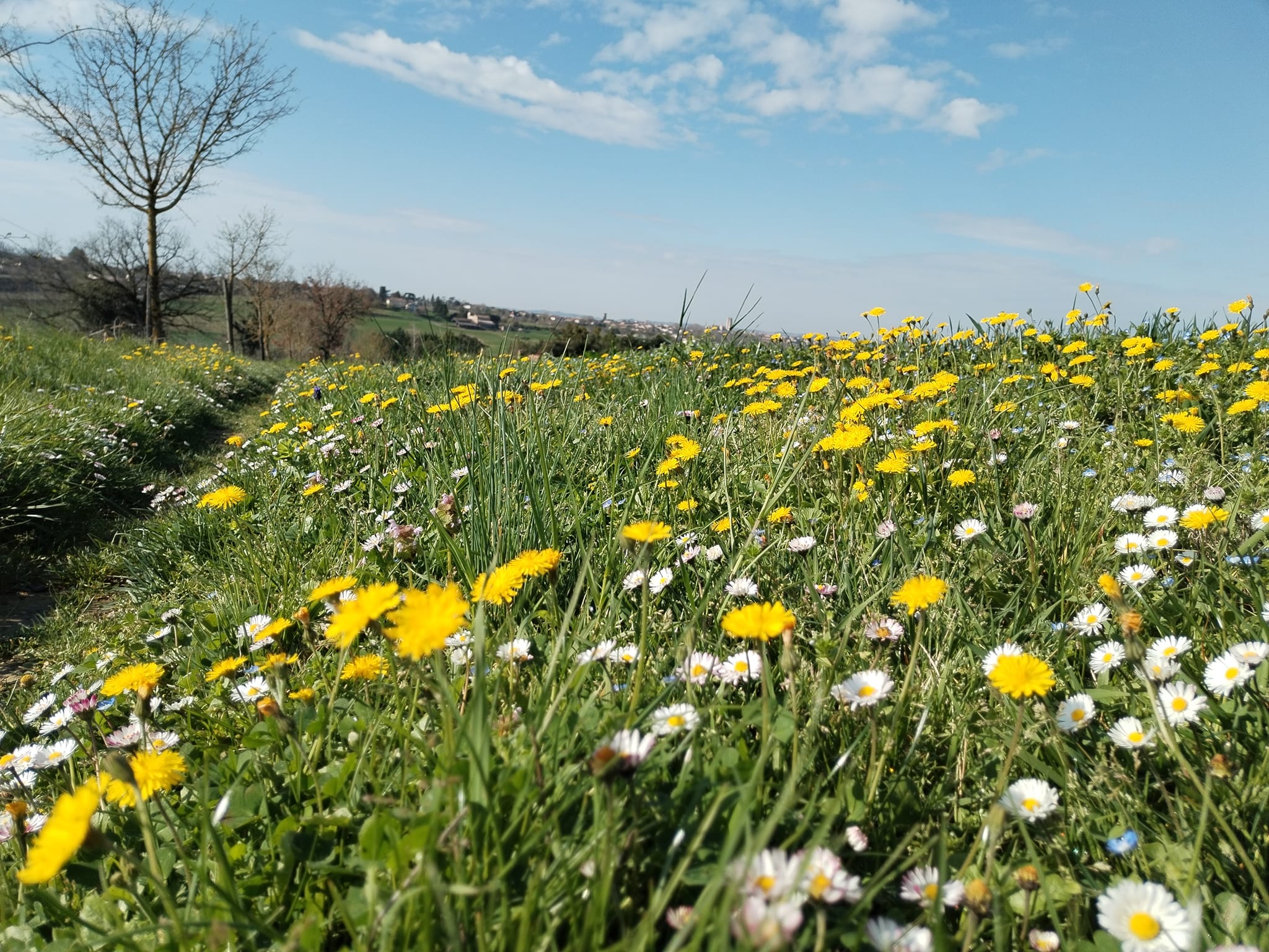 Photos de Une étape de folie douce 
