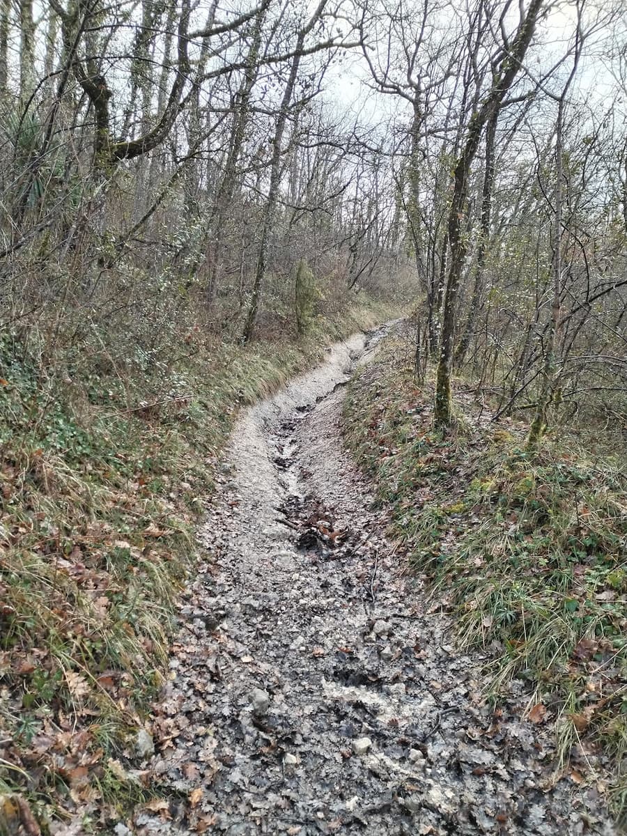 Photos de Les rencontres.