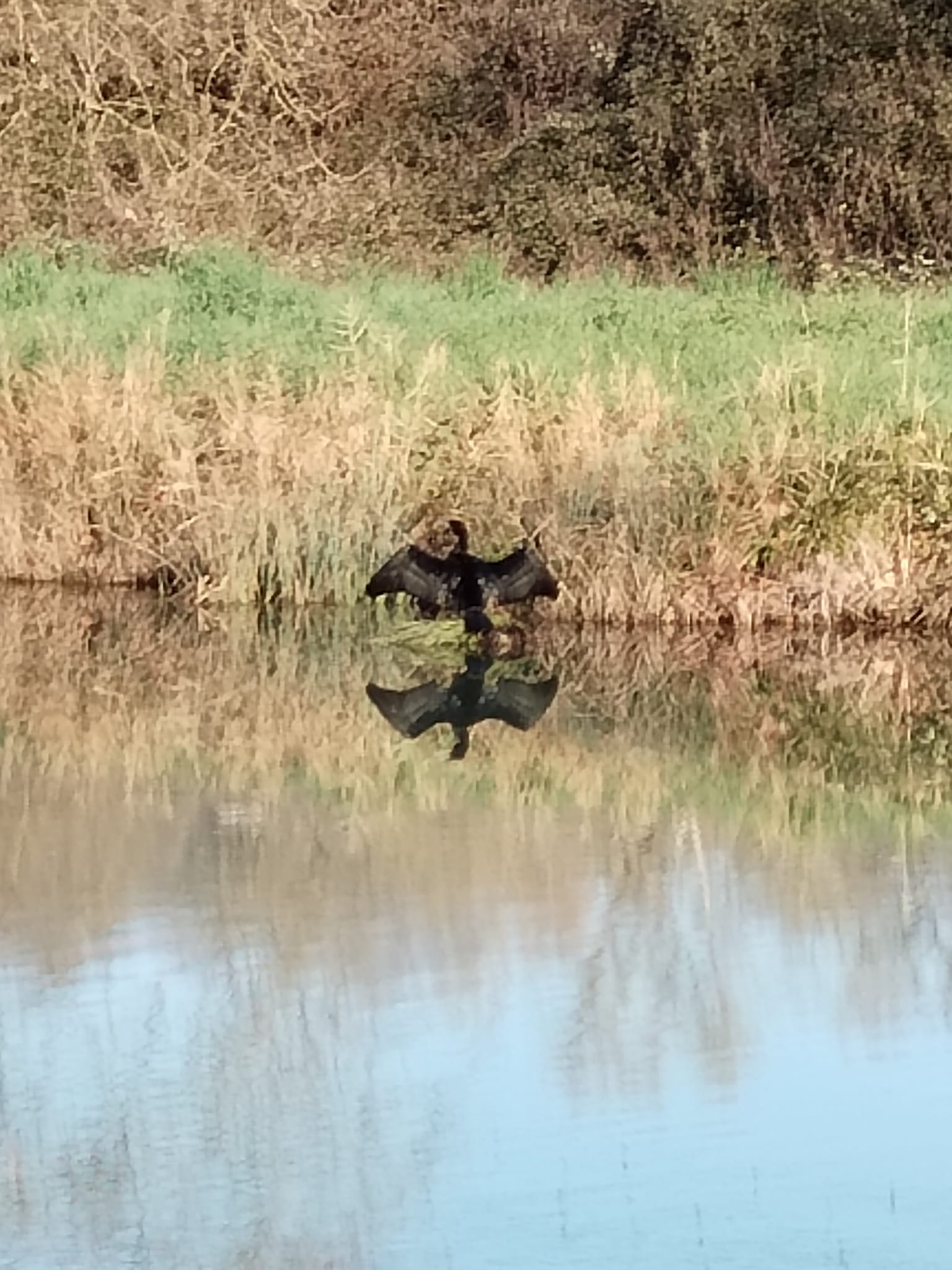 Photos de L'amitié du Chemin 