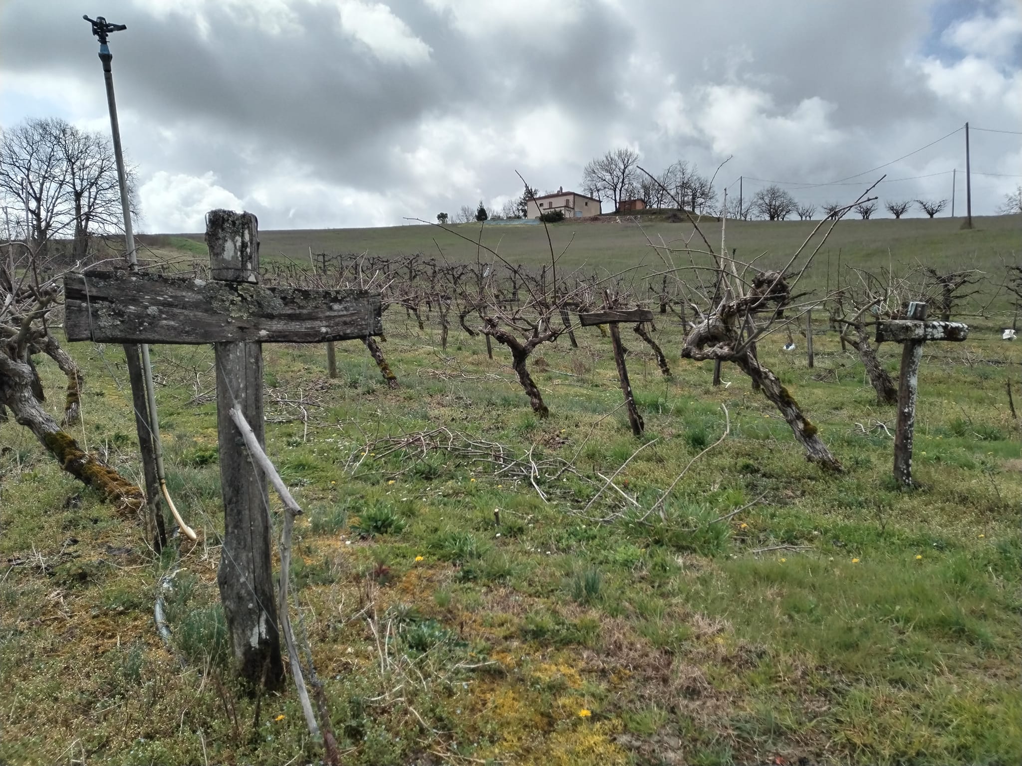 Photos de Les rencontres.