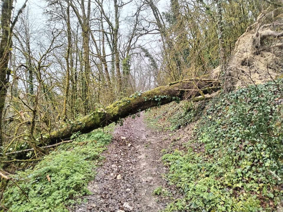 Photos de L'eau c'est la vie.... Ça tombe bien !