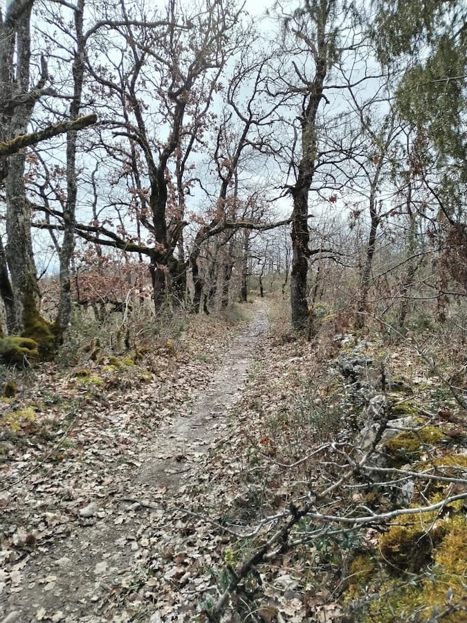 Photos de La remise en Chemin 