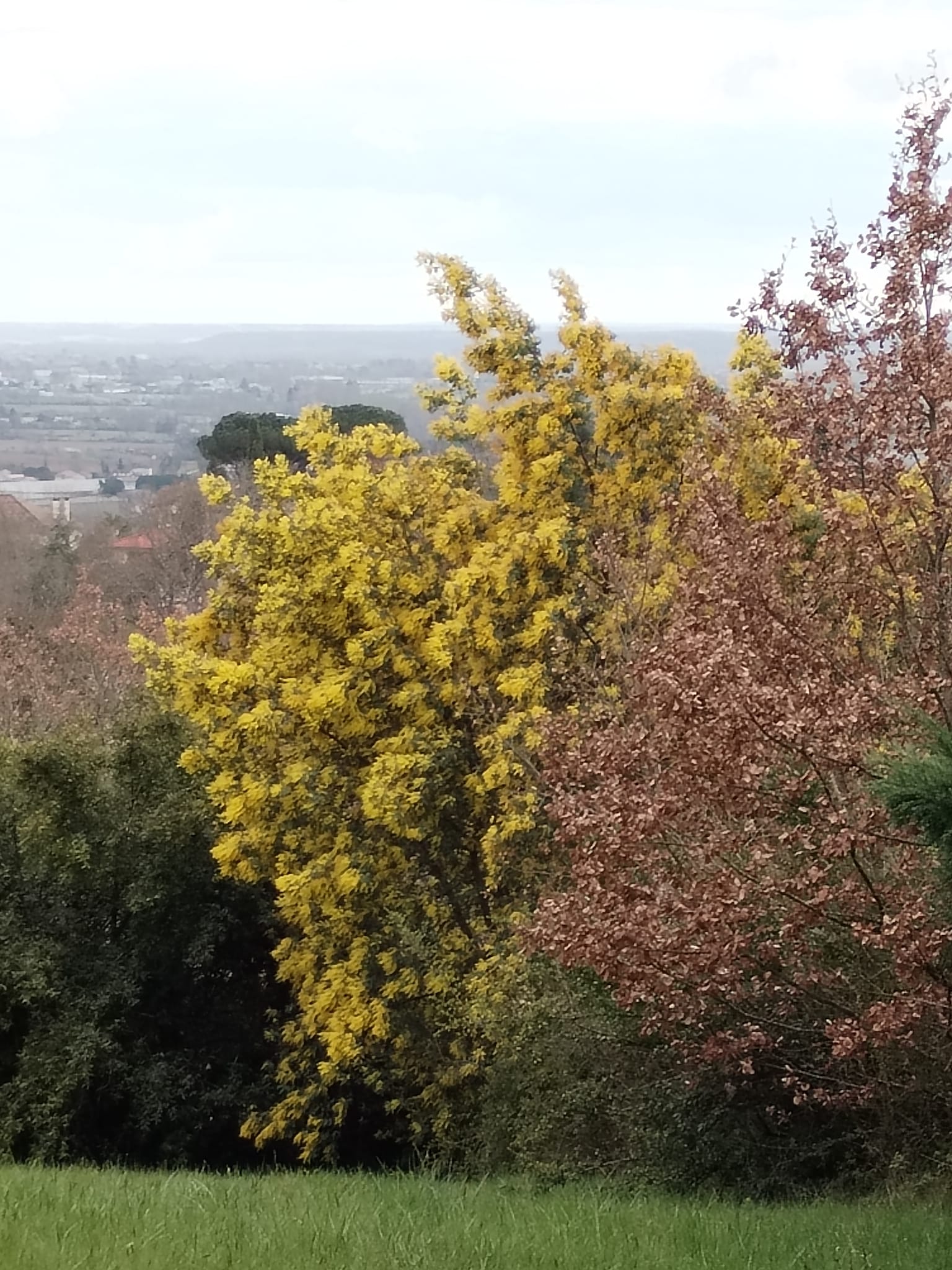 Photos de Les rencontres.