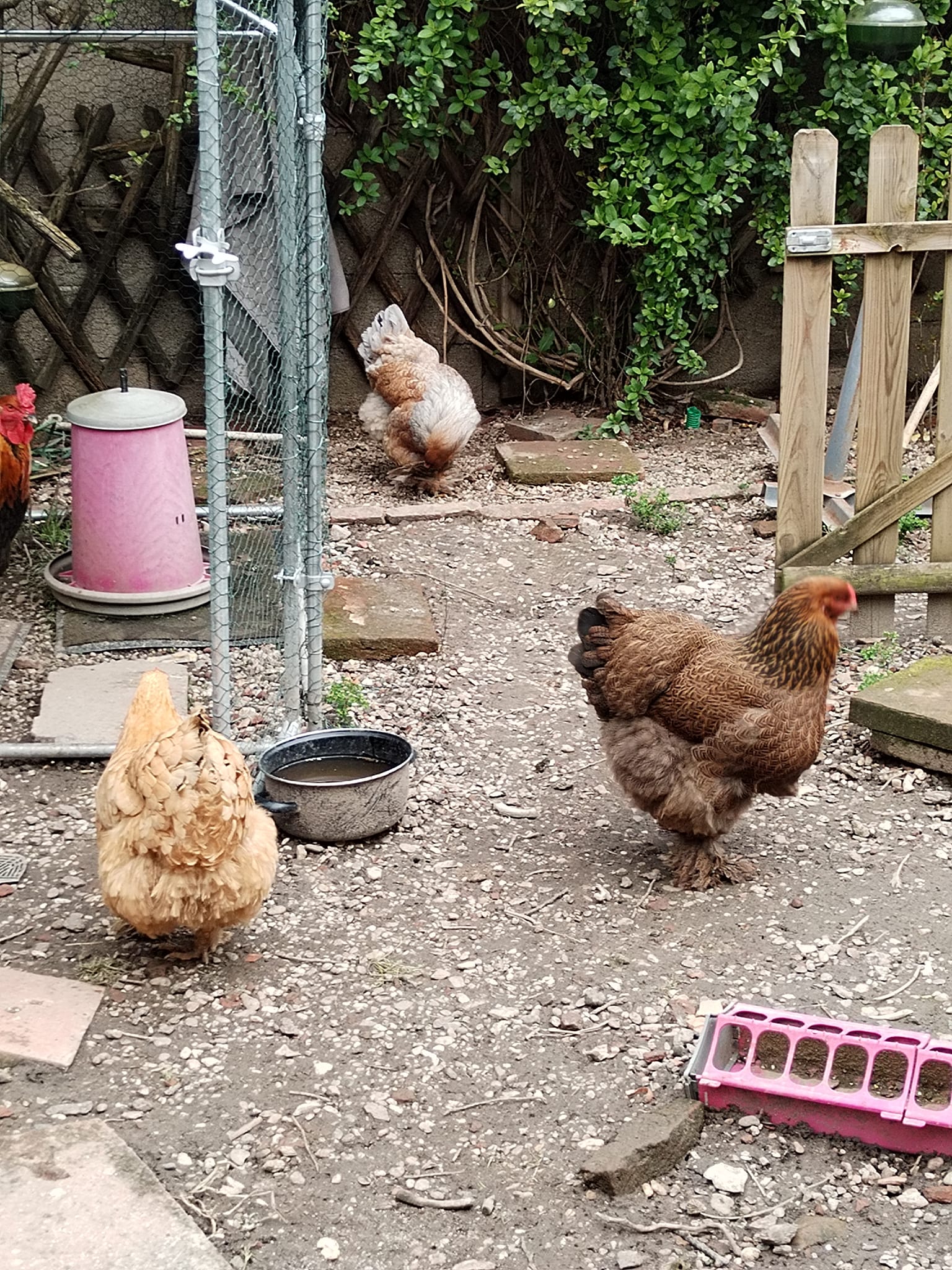 Photos de Les rencontres.