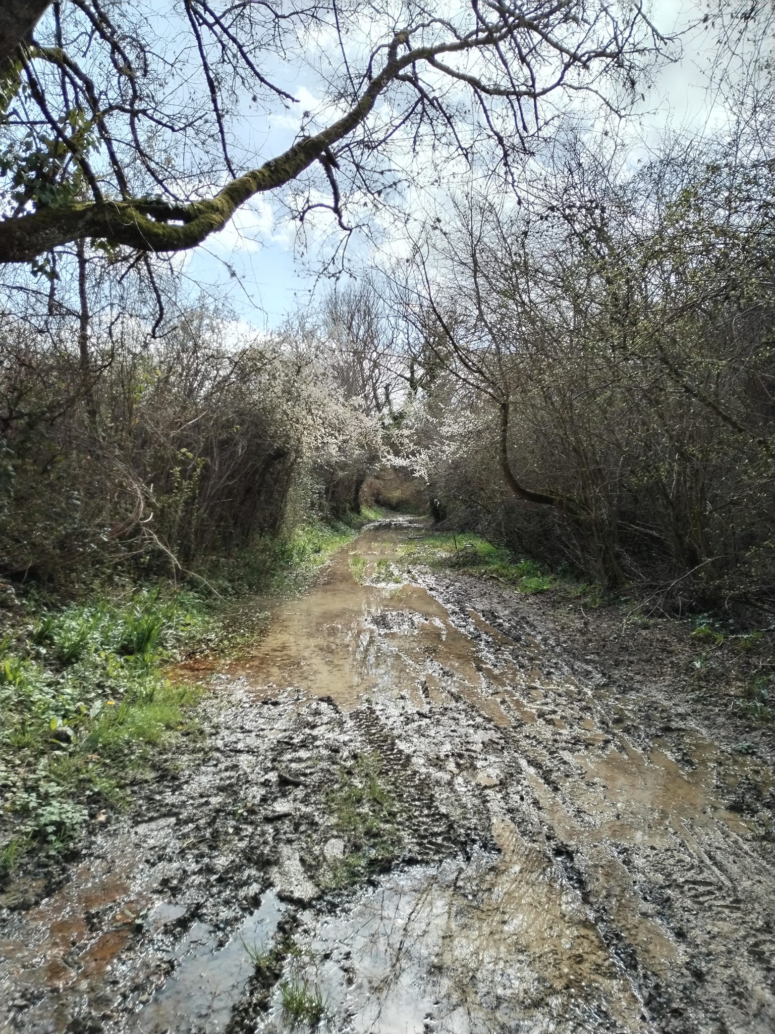 Photos de La fameuse terre amoureuse du Gers 