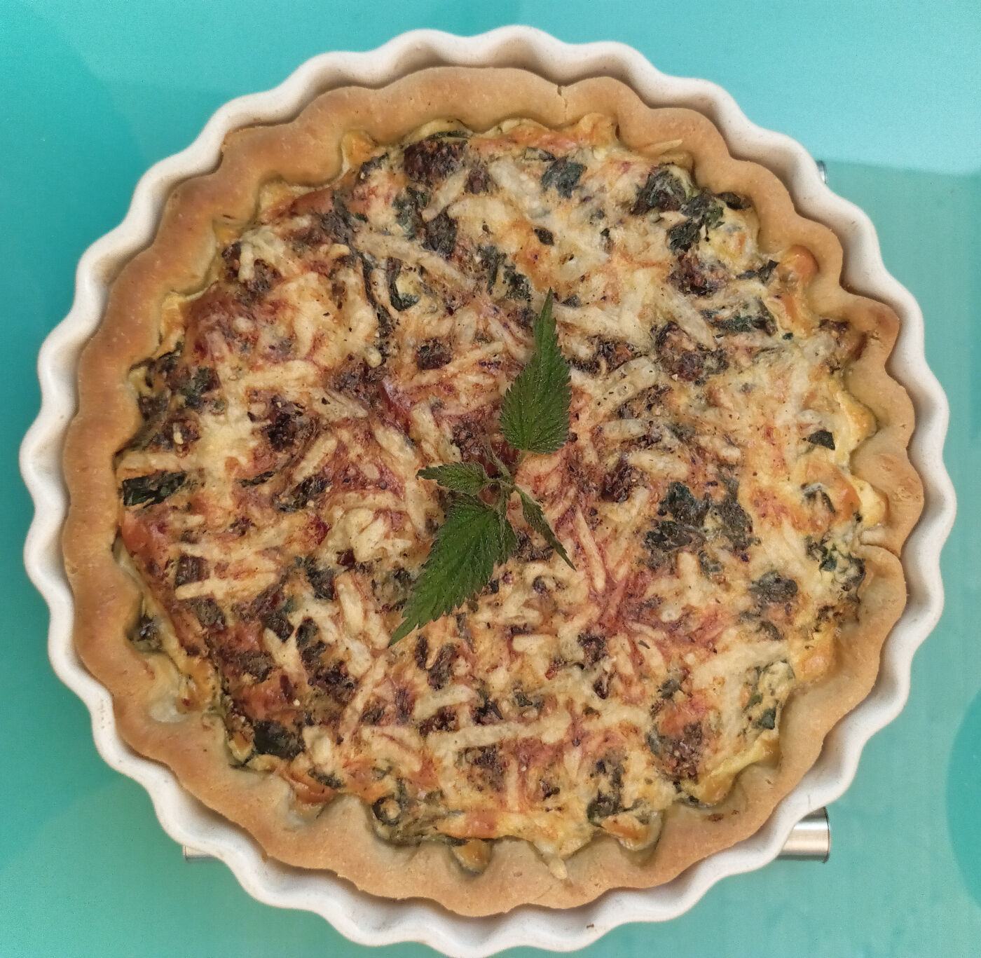 Vues de Couette et Tartinettes - Gîte / Gîte d'étape - Bretagne-d'Armagnac