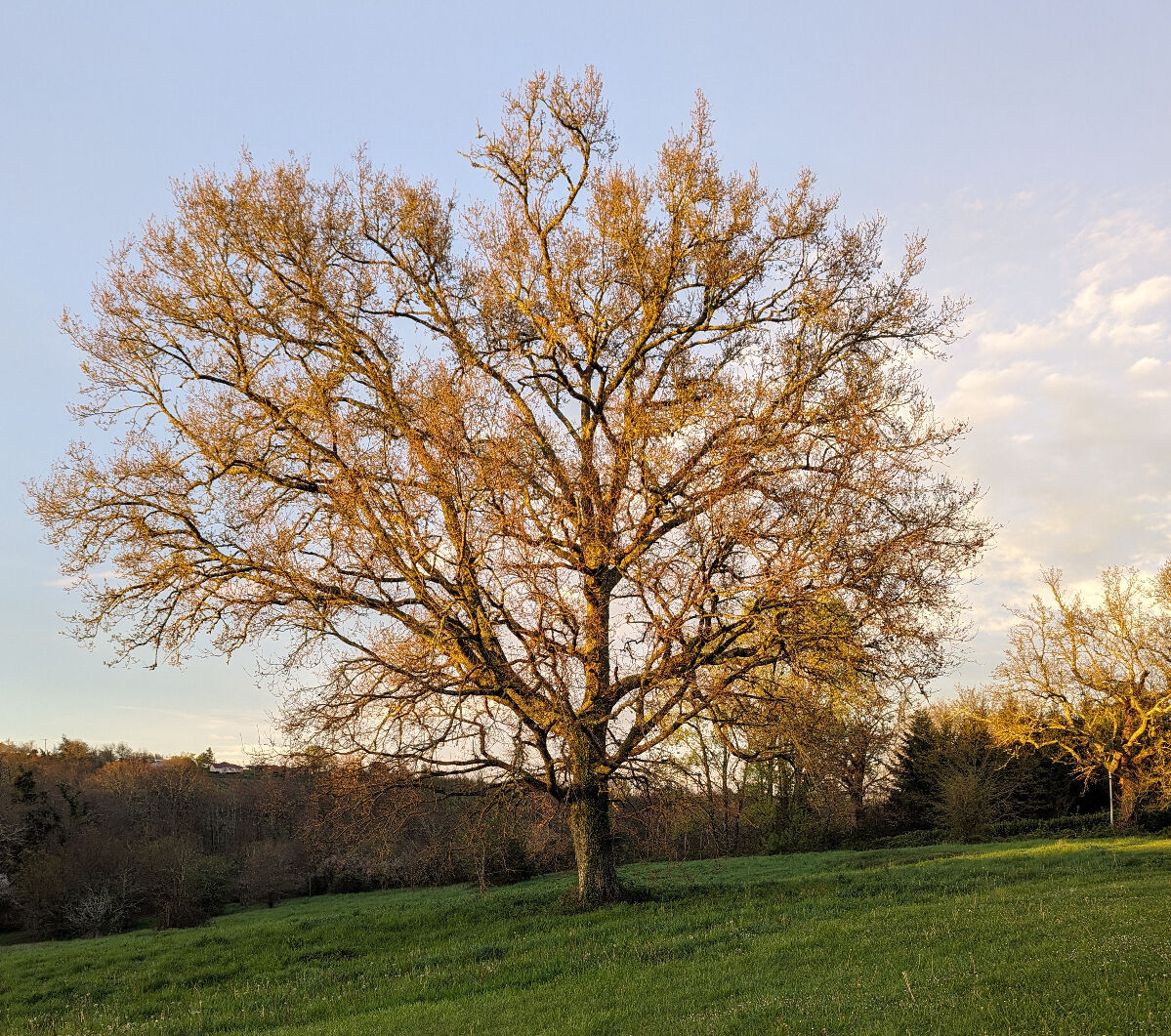 Vues de Couette et Tartinettes - Gîte / Gîte d'étape - Bretagne-d'Armagnac