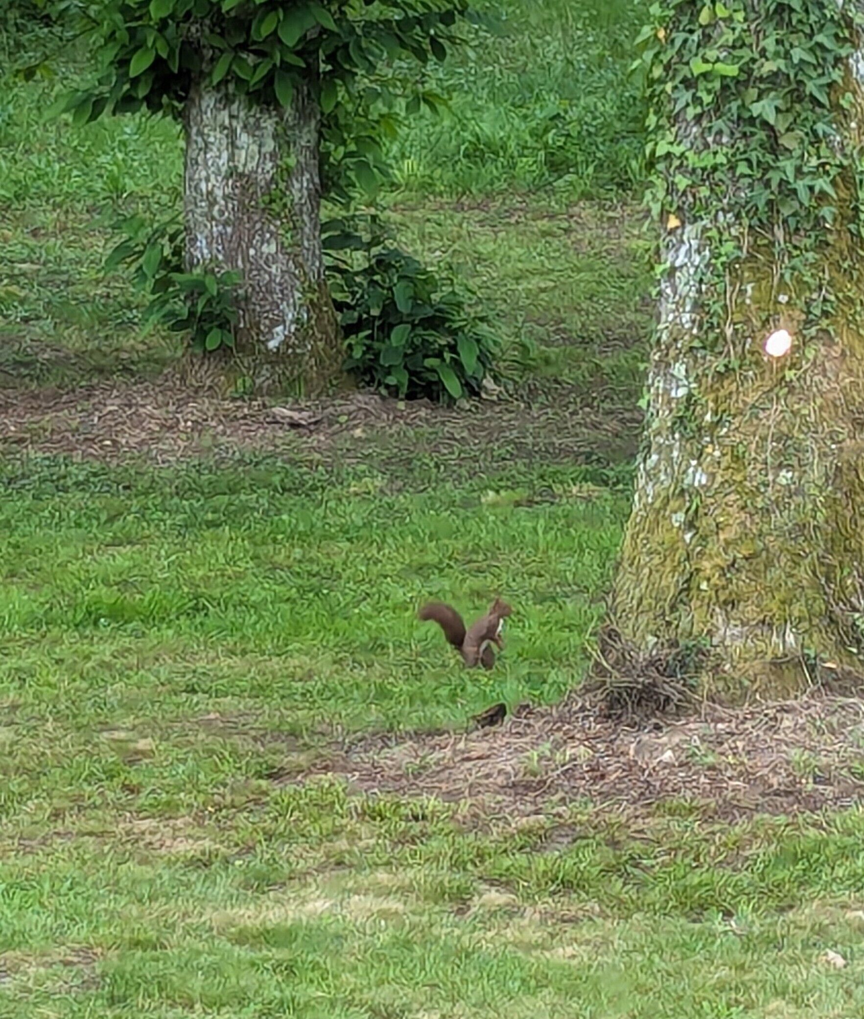 Vues de Couette et Tartinettes - Gîte / Gîte d'étape - Bretagne-d'Armagnac