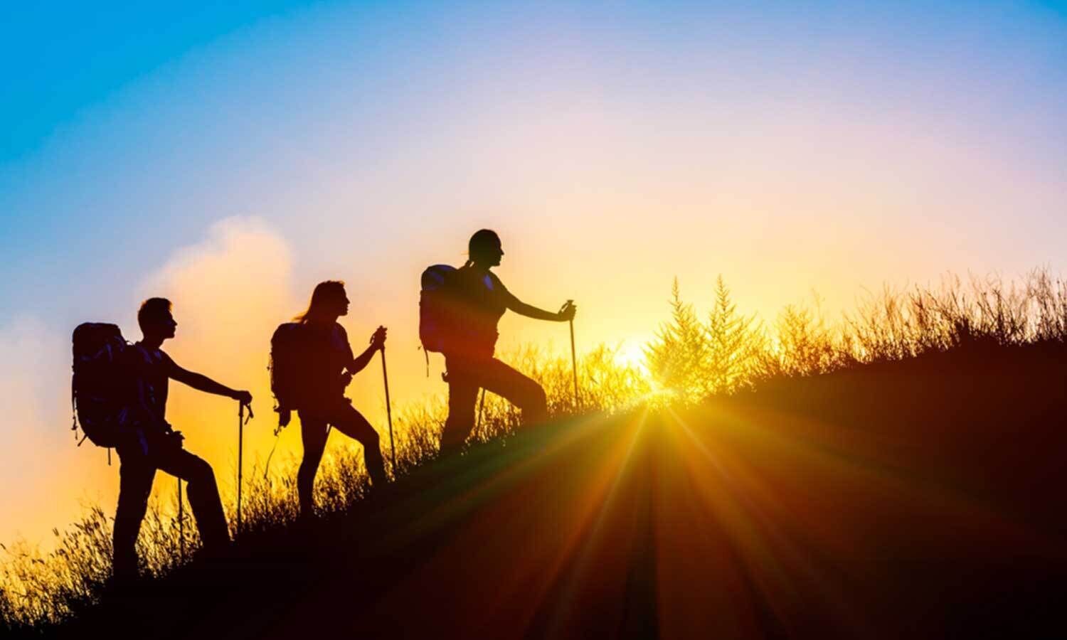 Article : Bonne année 2022