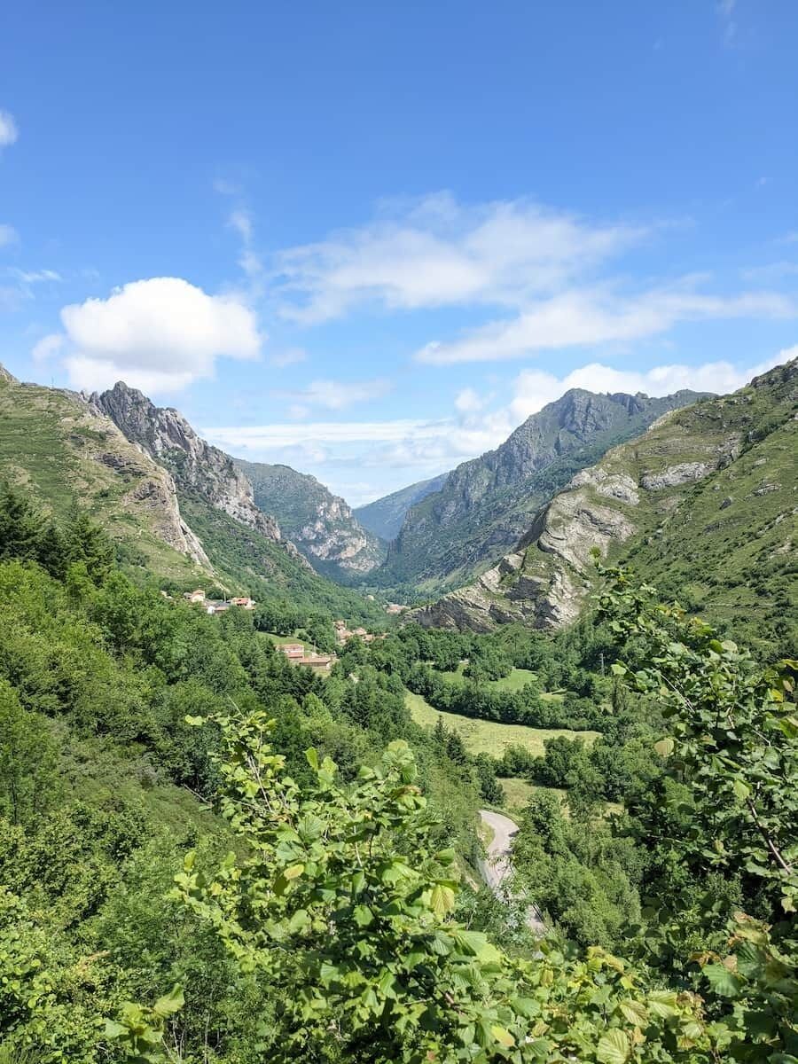 Article : La vallée des ours 