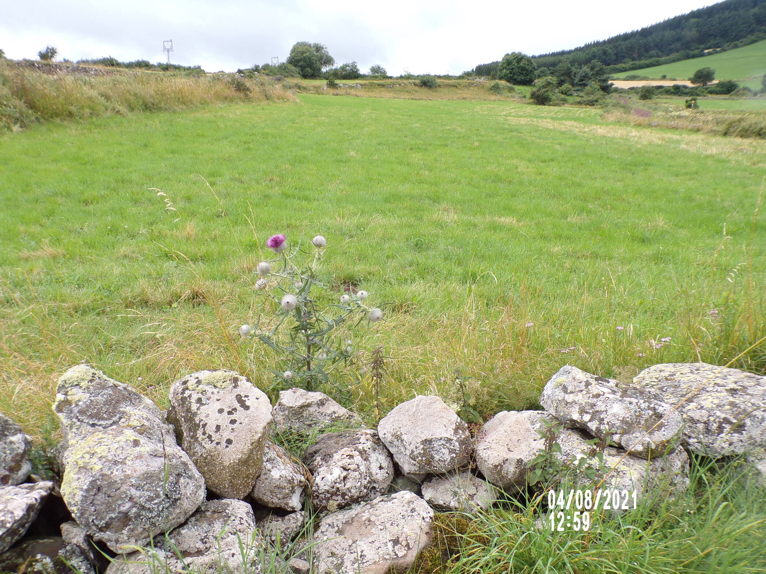 Article : Sur les chemins de l'Aubrac