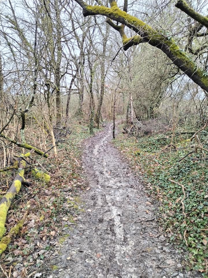 Photos de L'eau c'est la vie.... Ça tombe bien !