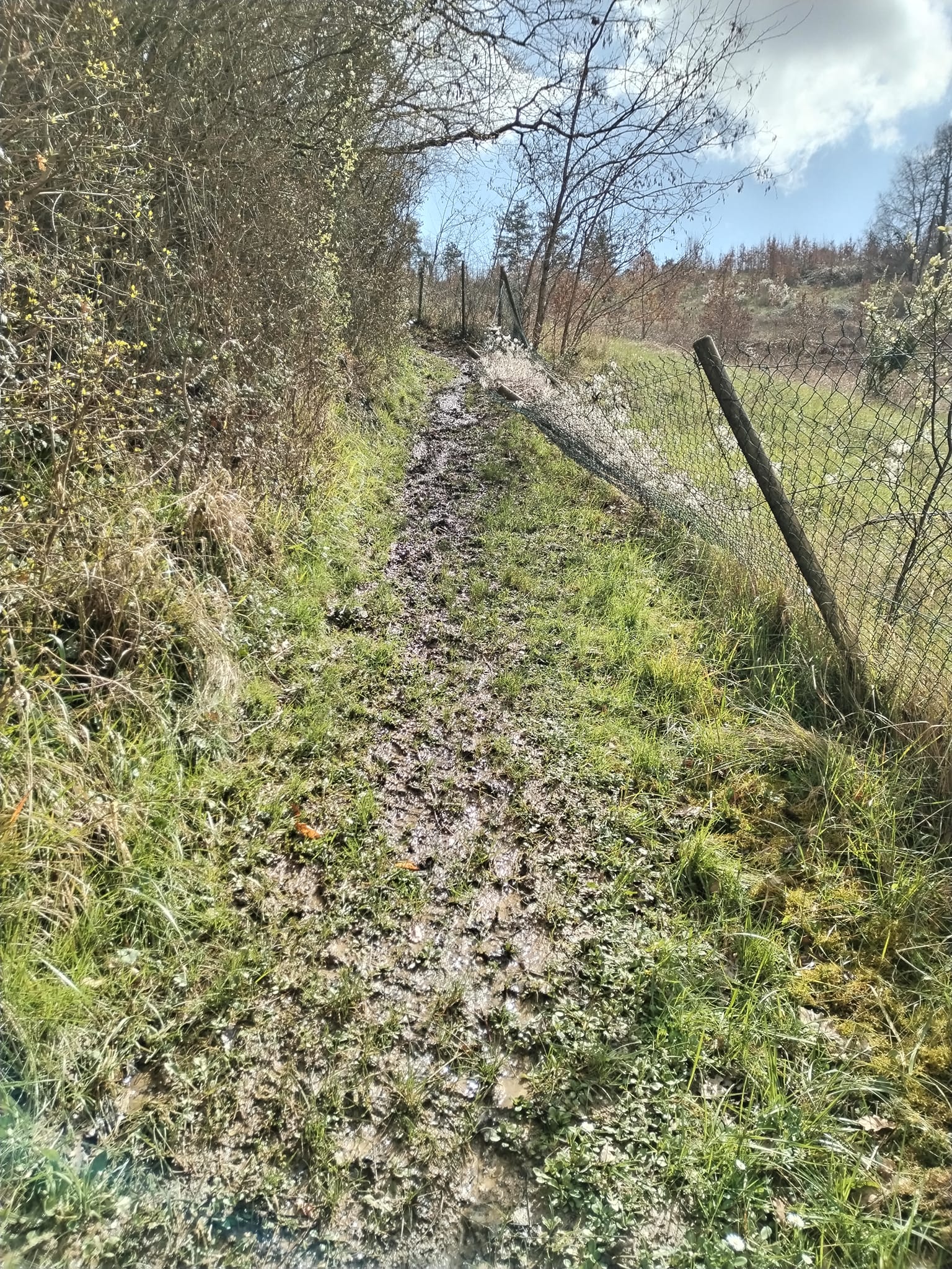 Photos de Les rencontres.