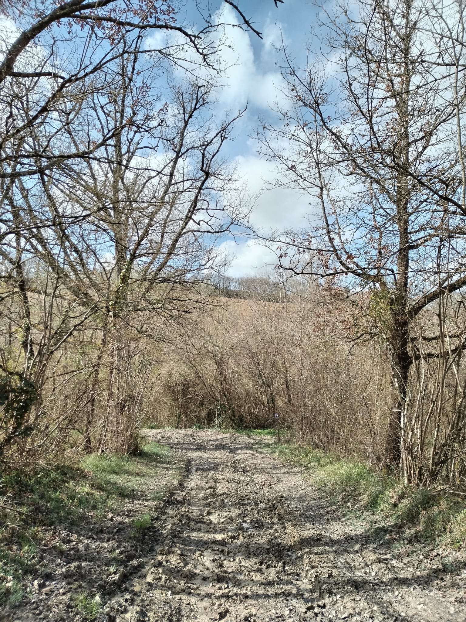 Photos de La fameuse terre amoureuse du Gers 