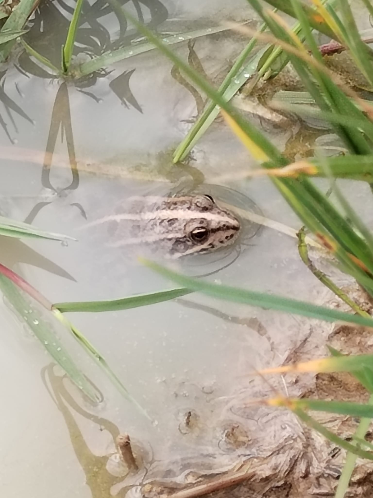 Photos de Les rencontres.