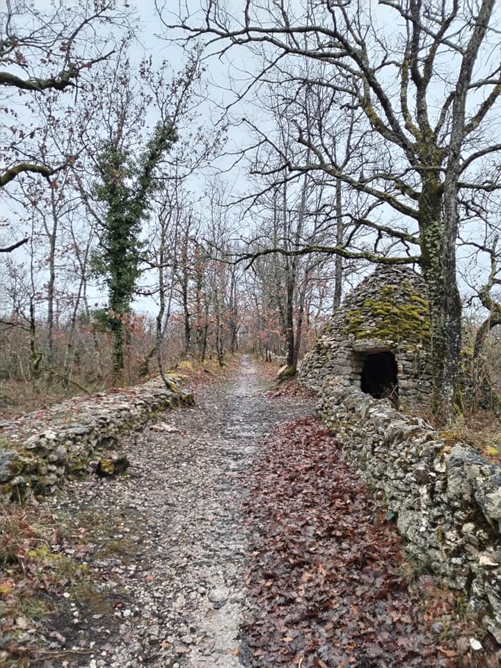 Photos de L'eau c'est la vie.... Ça tombe bien !