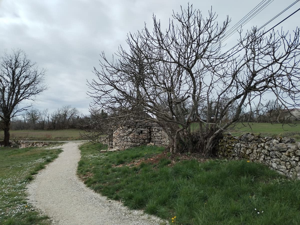 Photos de La remise en Chemin 