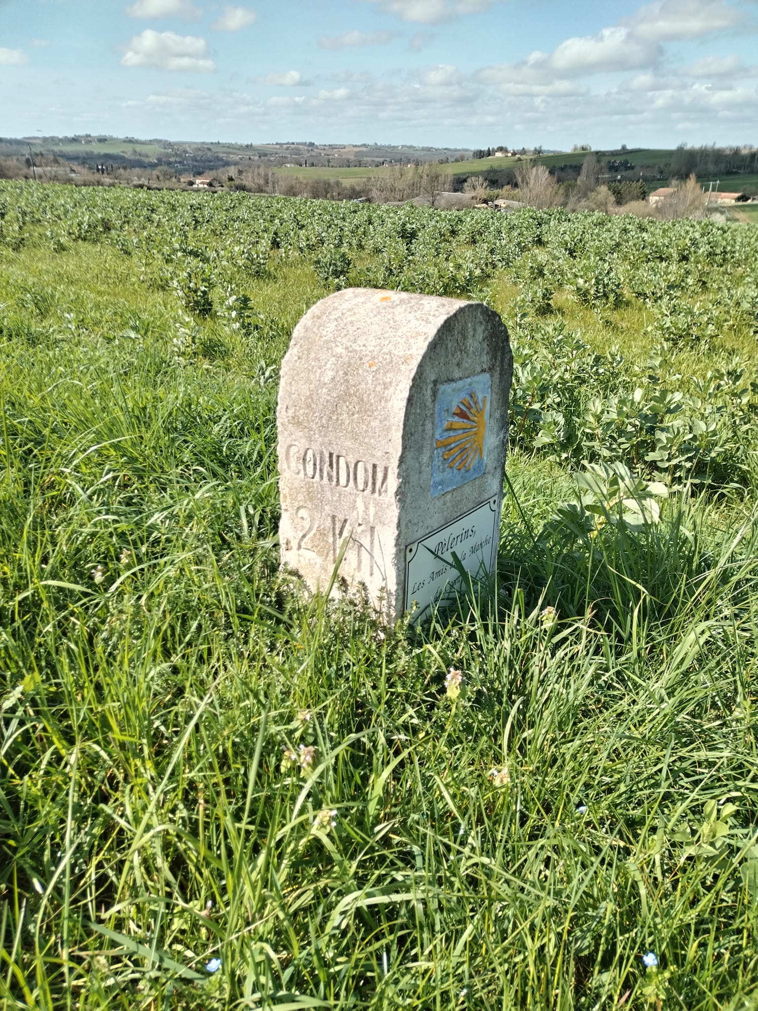 Photos de La fameuse terre amoureuse du Gers 