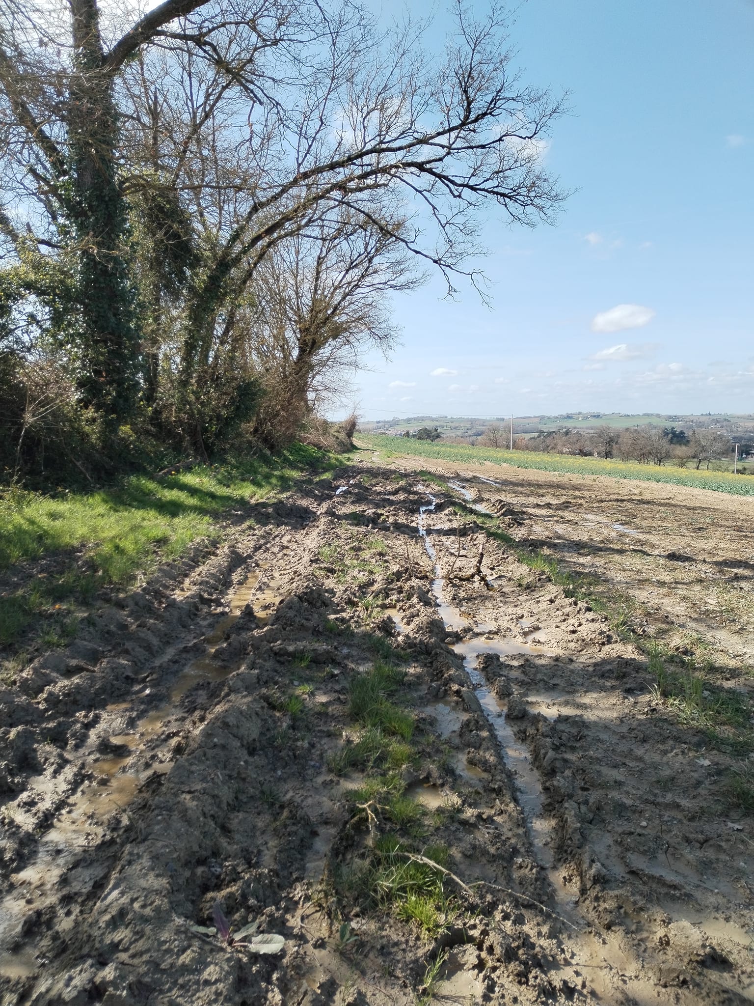 Photos de La fameuse terre amoureuse du Gers 