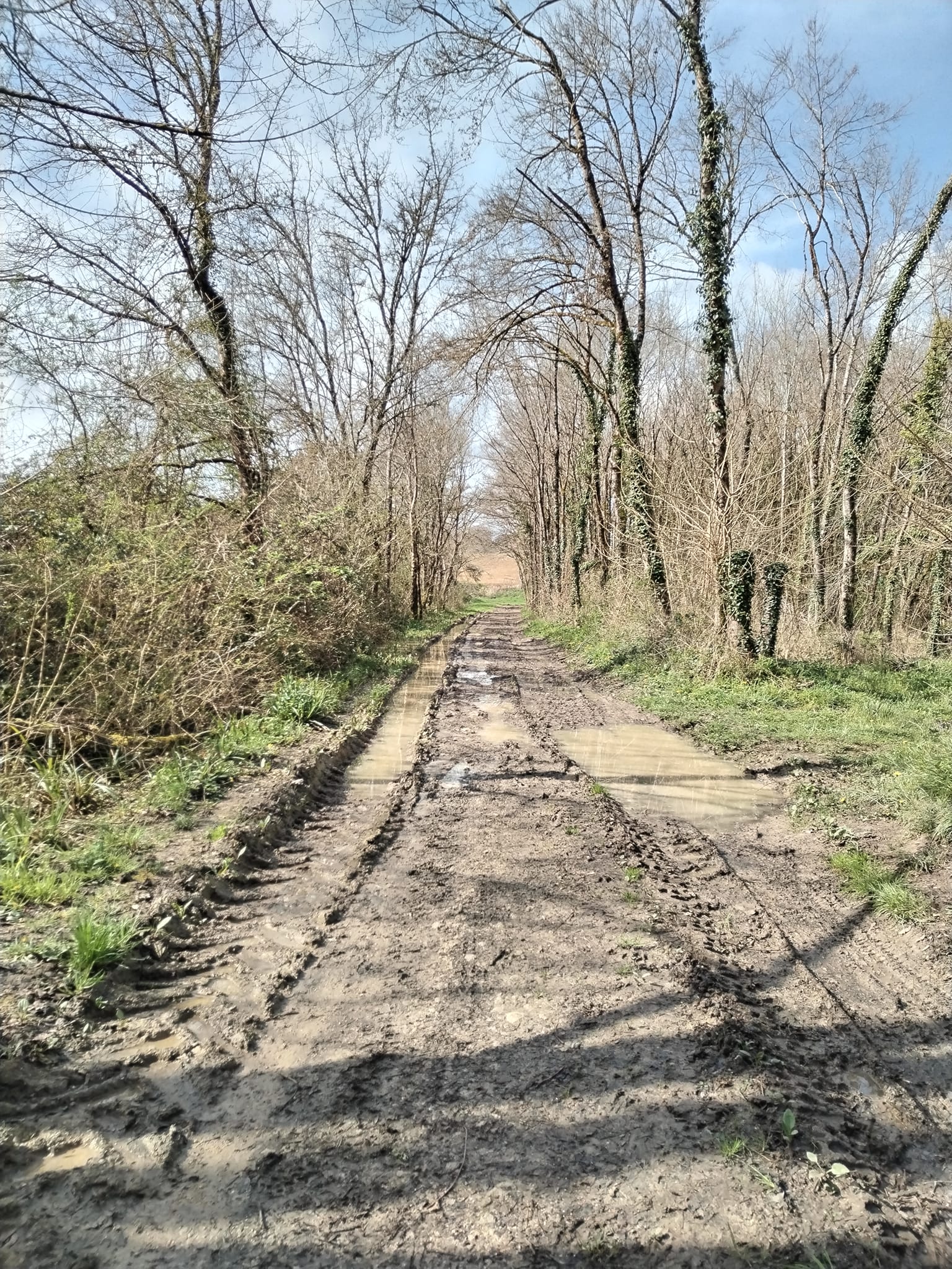 Photos de La fameuse terre amoureuse du Gers 