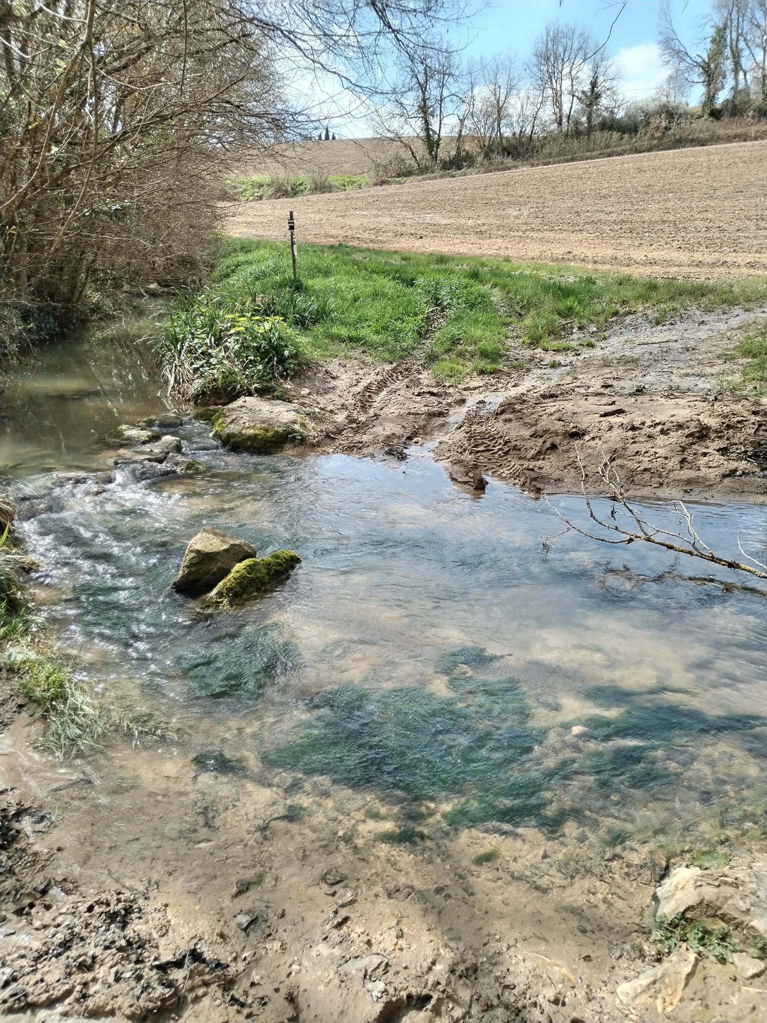 Photos de La fameuse terre amoureuse du Gers 