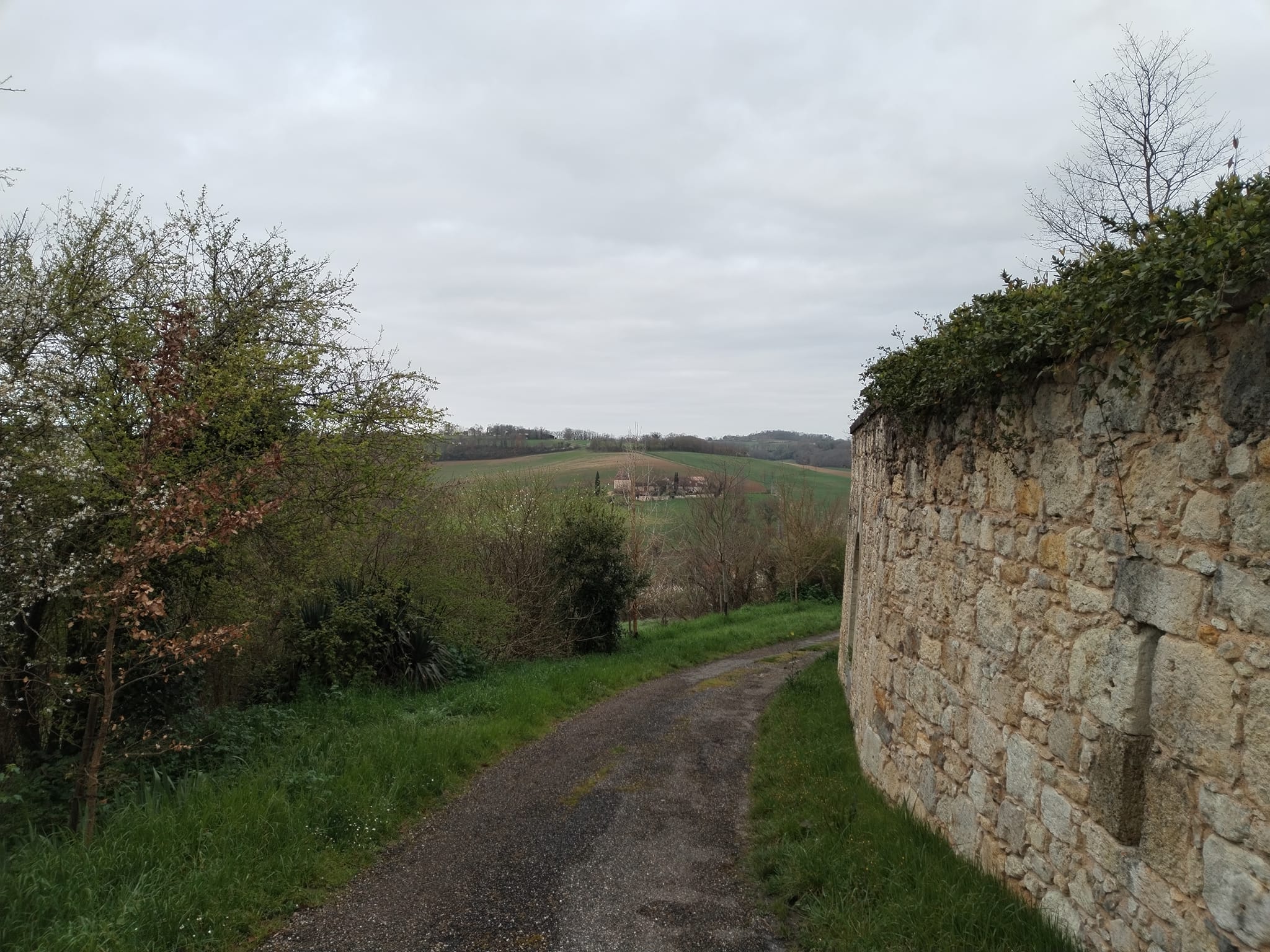 Photos de La fameuse terre amoureuse du Gers 